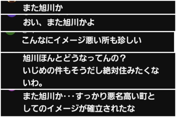 内田りこ。事件についてSNSコメント