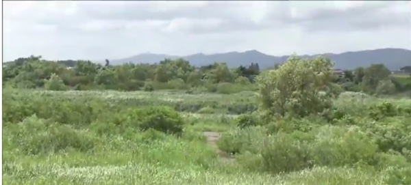 阿武隈川の河川敷の画像